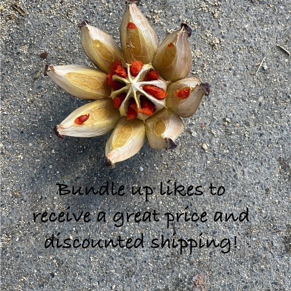 Life is Good M blue Mermaid printed short sleeve tshirt. NWT. - Picture 8 of 8